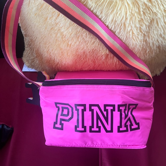 Victoria’s Secret Pink Rainbow Dog Keychain Logo Lunch Cooler Bag Box - Picture 1 of 4